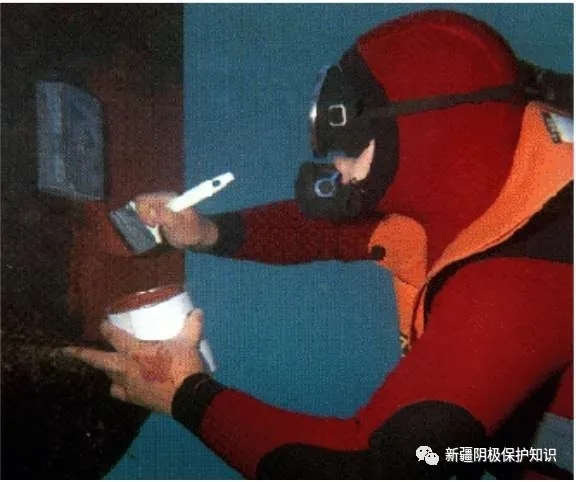 8.jpg.jpg