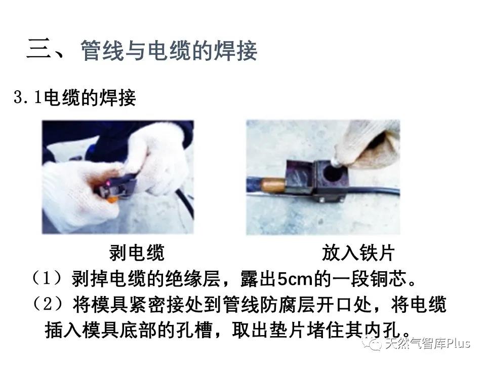 微信图片_20210129142831.jpg