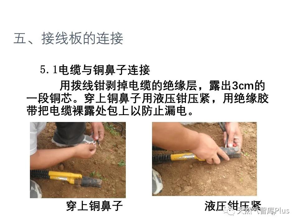 微信图片_20210129142905.jpg